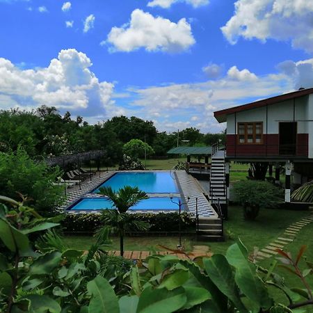 Eco Hotel Black & White - Anuradhapura Михинтале Экстерьер фото
