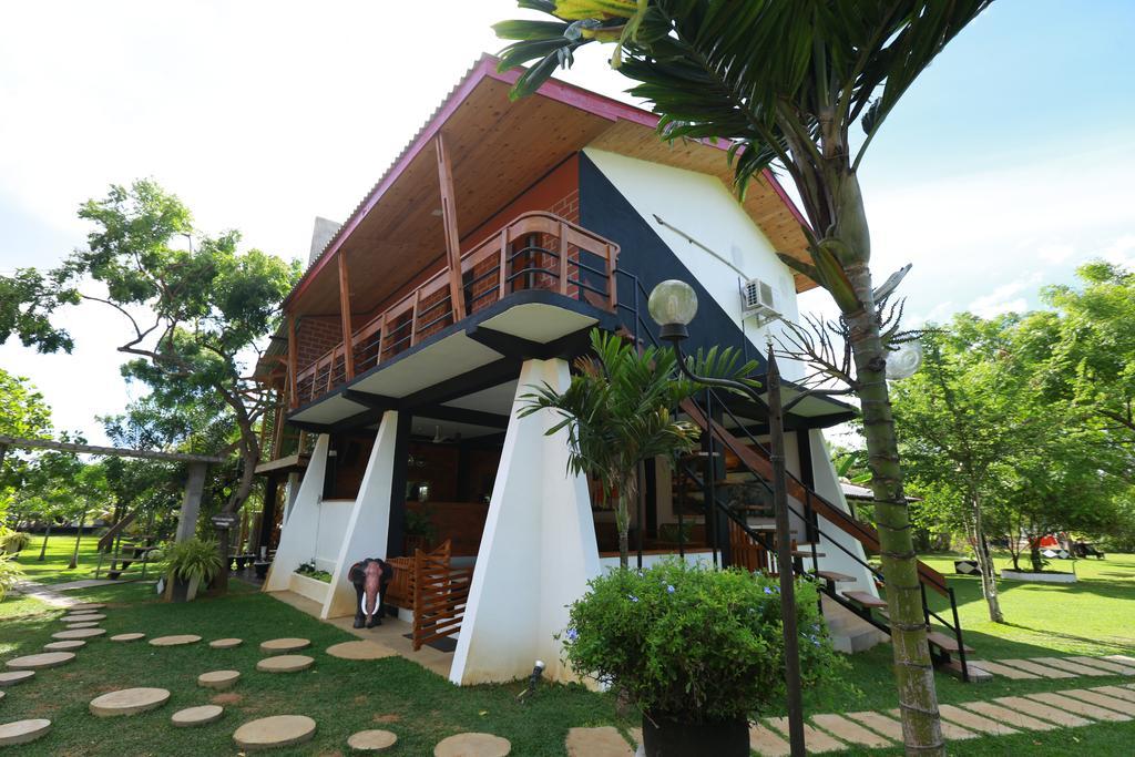 Eco Hotel Black & White - Anuradhapura Михинтале Экстерьер фото