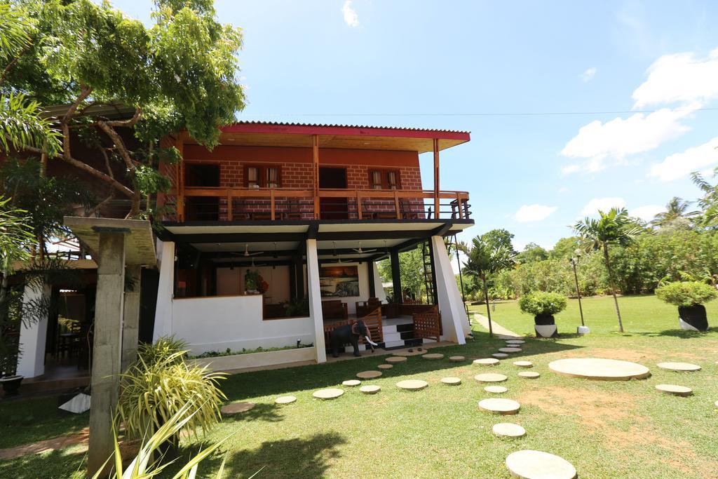 Eco Hotel Black & White - Anuradhapura Михинтале Экстерьер фото