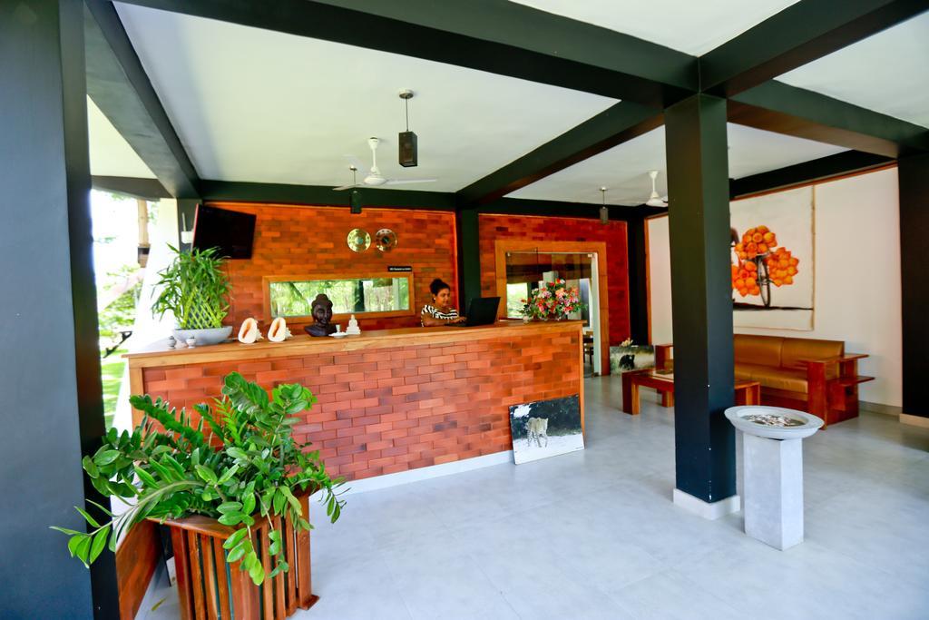 Eco Hotel Black & White - Anuradhapura Михинтале Экстерьер фото