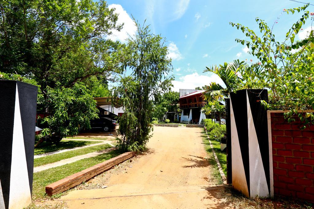 Eco Hotel Black & White - Anuradhapura Михинтале Экстерьер фото