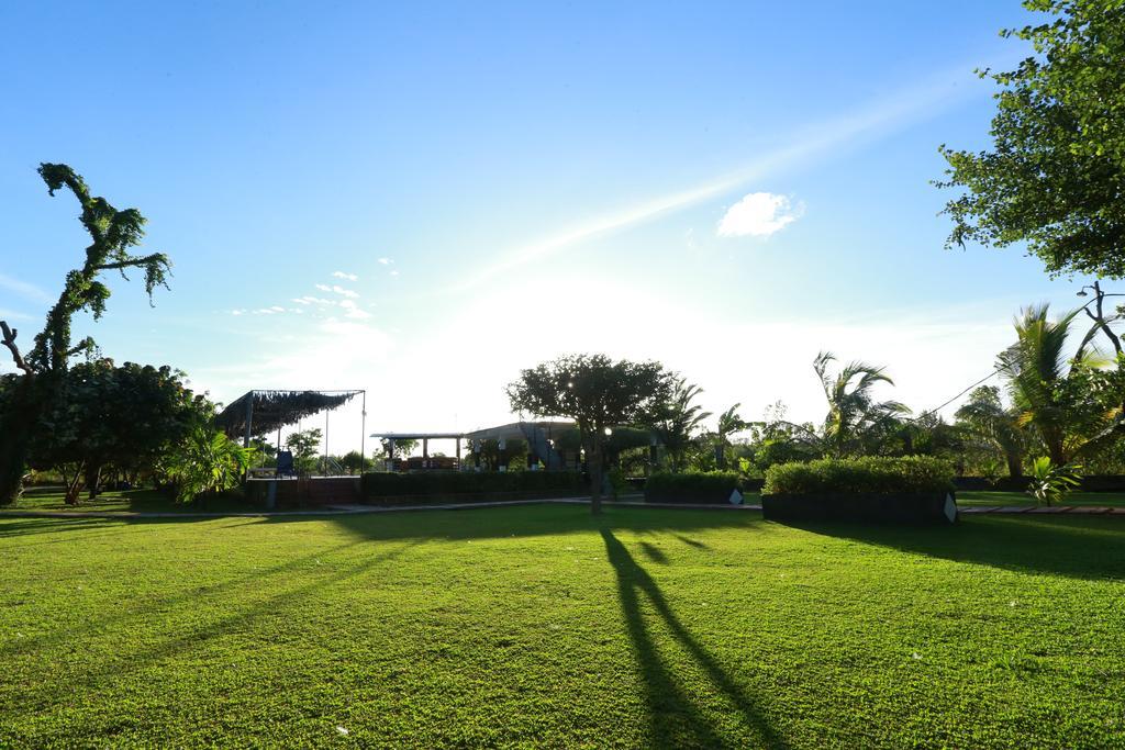 Eco Hotel Black & White - Anuradhapura Михинтале Экстерьер фото