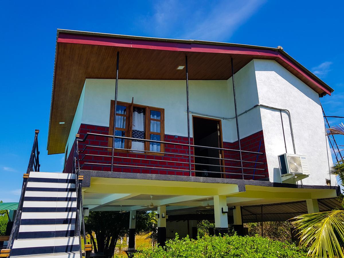 Eco Hotel Black & White - Anuradhapura Михинтале Экстерьер фото