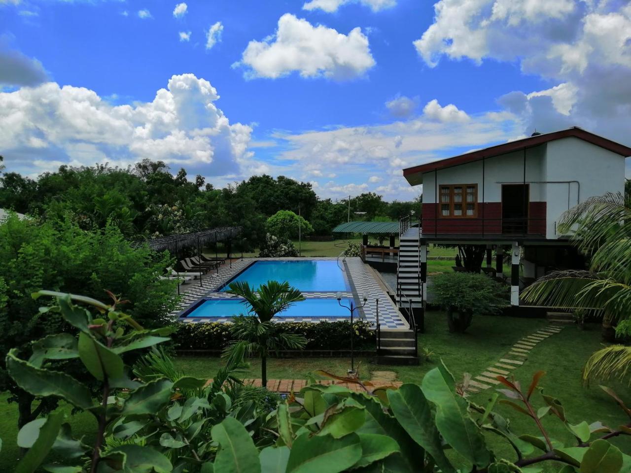 Eco Hotel Black & White - Anuradhapura Михинтале Экстерьер фото