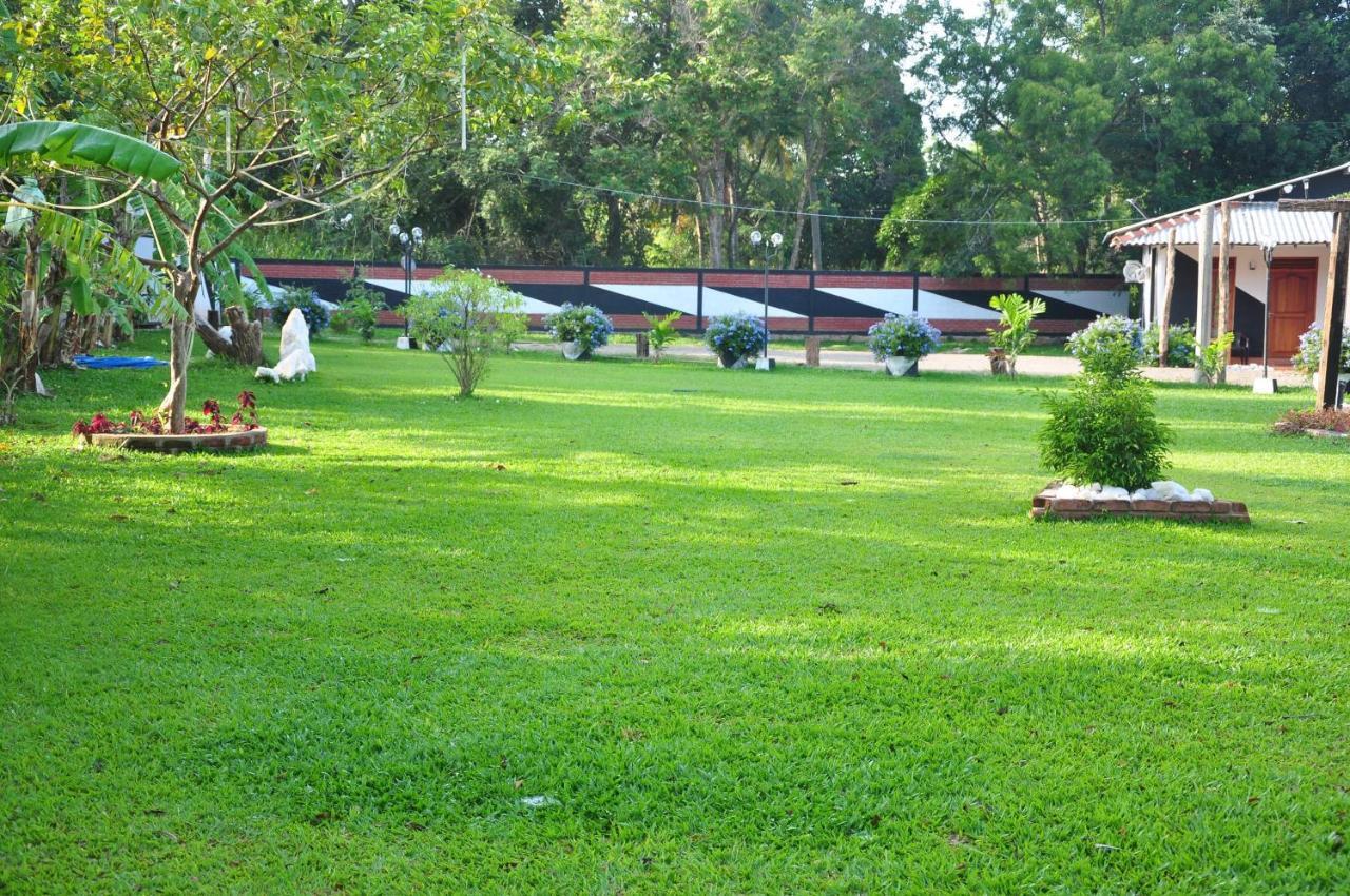 Eco Hotel Black & White - Anuradhapura Михинтале Экстерьер фото